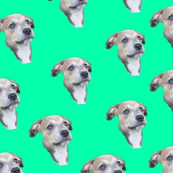 Meet your Posher, James - Picture 1 of 1